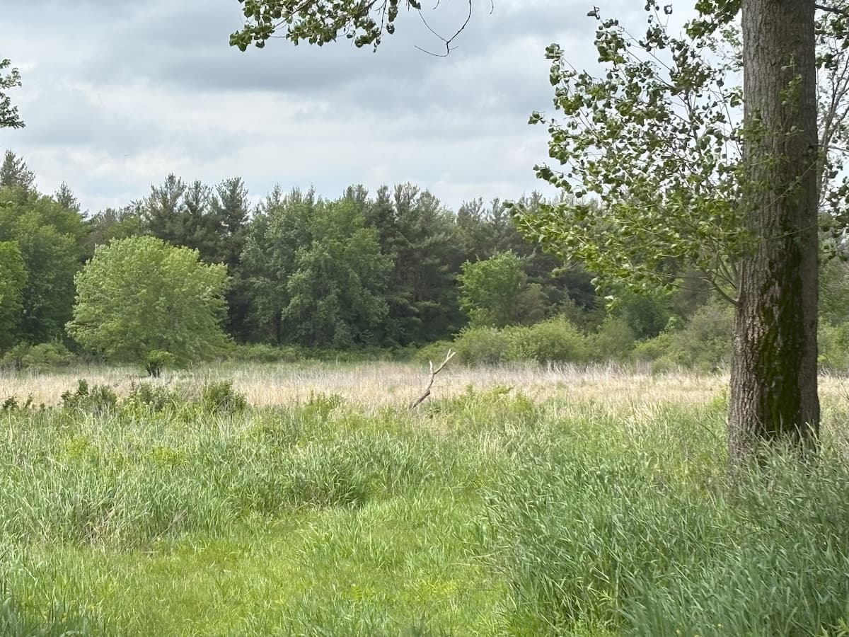Slough Creek Wildlife Area