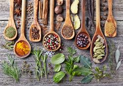 Spice of Life Workshop