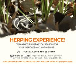 Herping Experience!