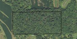 Lantz Timber Preserve