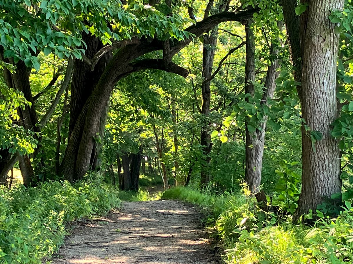 Trails at the Tosanak Recreation Area