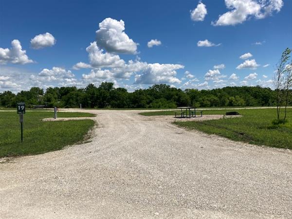 ELP #19 River Birch Campsite