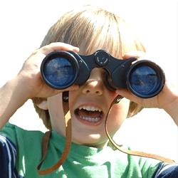 Birding with Ella "Fall Migration Watch"
