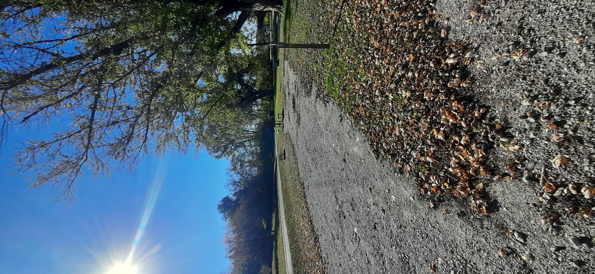 Electric Site 020 - Don Williams