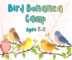 Bird Bonanza Camp - Ages 7-9