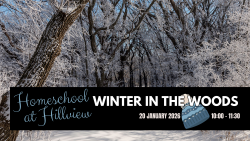 Homeschool at Hillview - Winter in the Woods