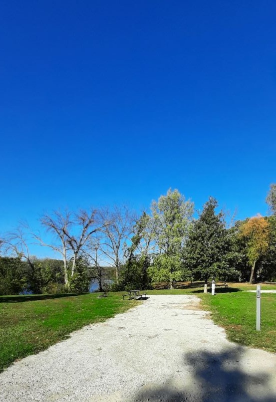 Electric Site 011 - Don Williams