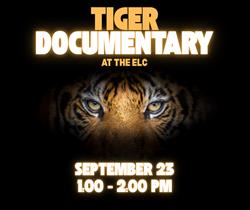 Tiger Documentary