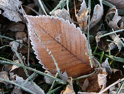 Naturalist Trail Hike