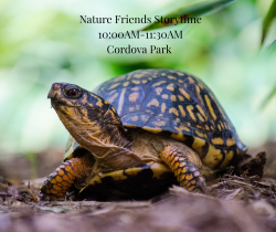 Nature Friends Storytime- Turtles