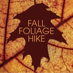 Fall Foliage Hike