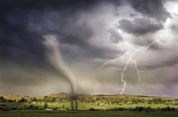 Wildlife Wonders - What is Weather?