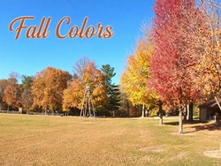 Fall Colors