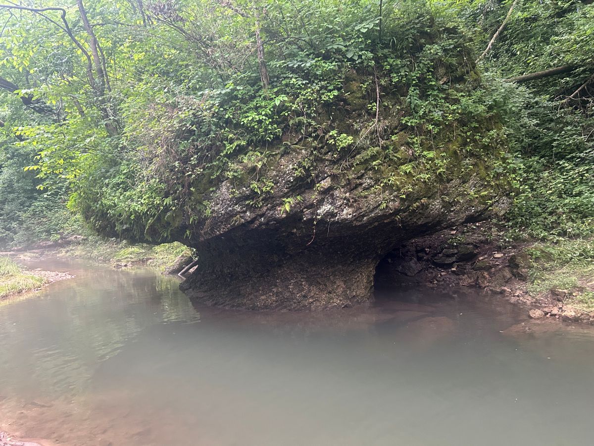 Fountain Springs Park