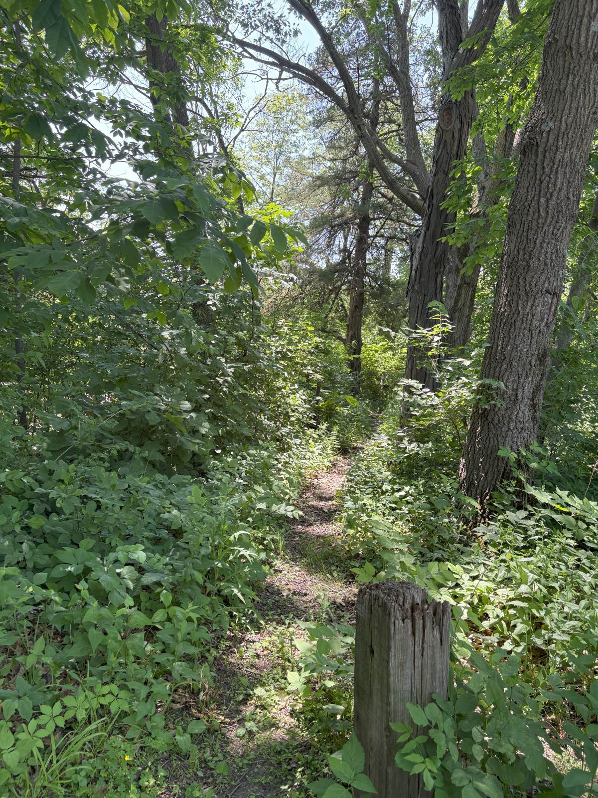 Cedar Bend Wildlife Area 