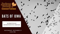 Bats of Iowa