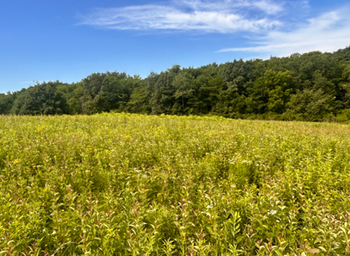 French Preserve Prairie