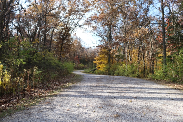 Loop Trail Through Whitham