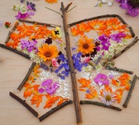 Nature Art Day Camp (6-9 yr olds)