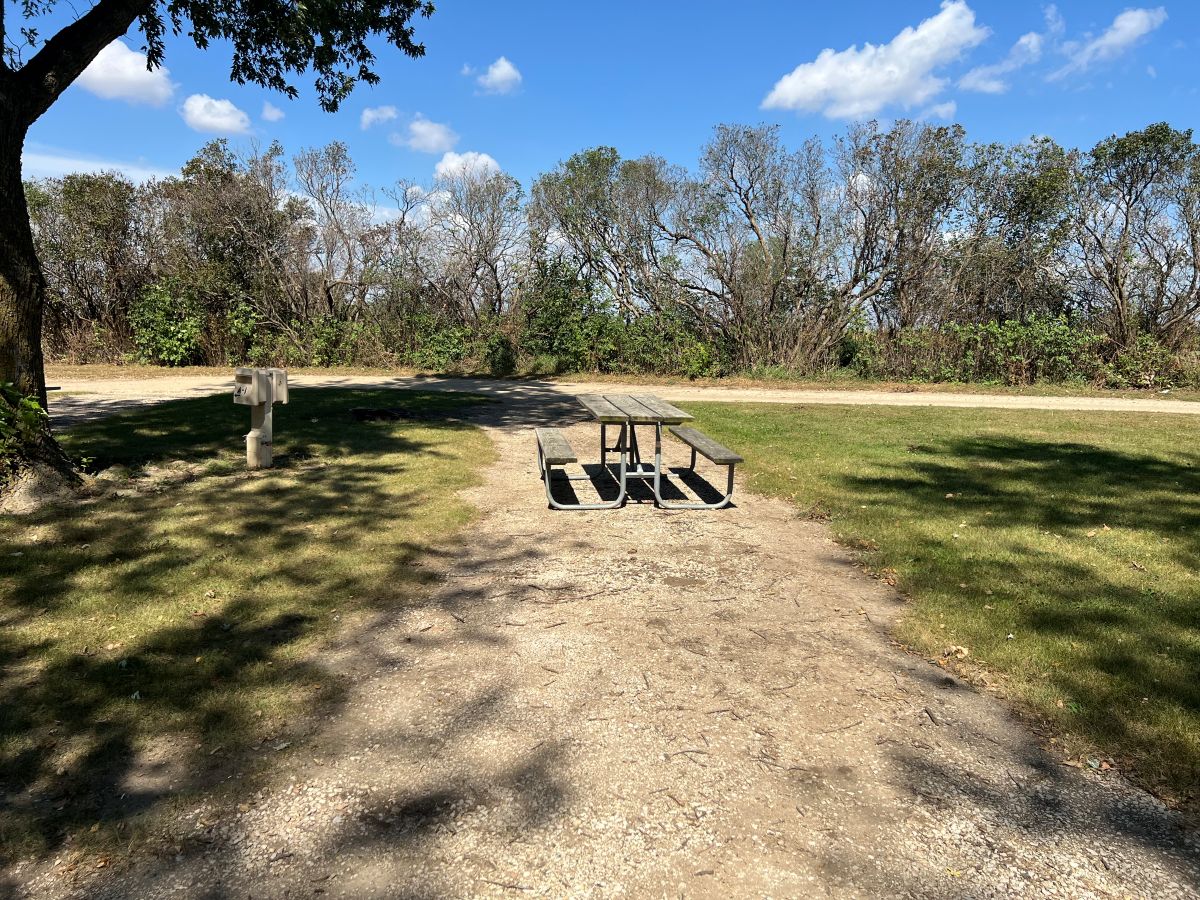 Dog Creek Campsite #05