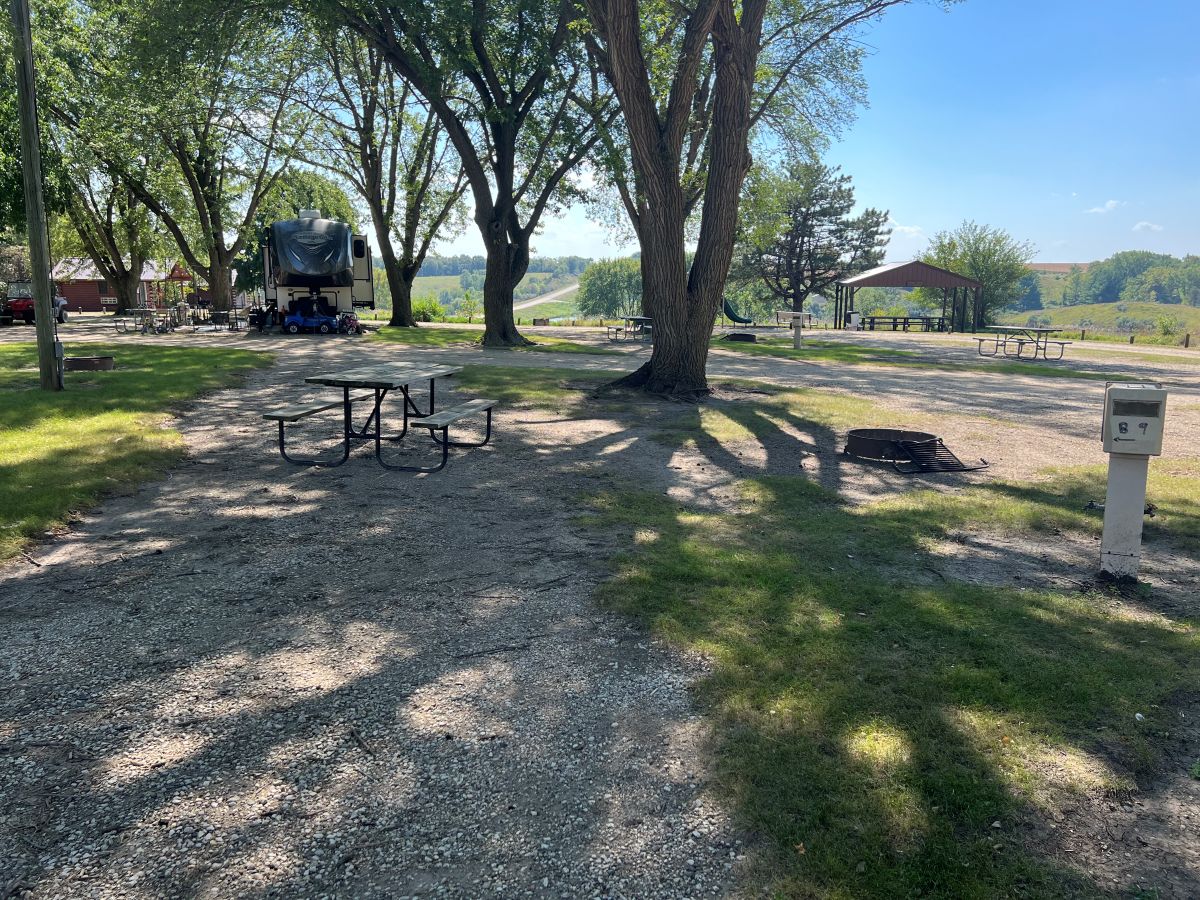 Dog Creek Campsite #10