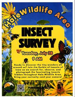 Hale Wildlife Area Insect Survey - Come Check it Out!