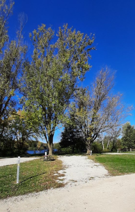 Electric Site 008 - Don Williams