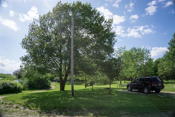 Dakins East Site 09 Tent Only - Pay at Site