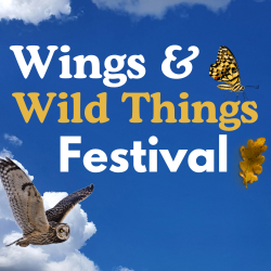 Wings & Wild Things Festival