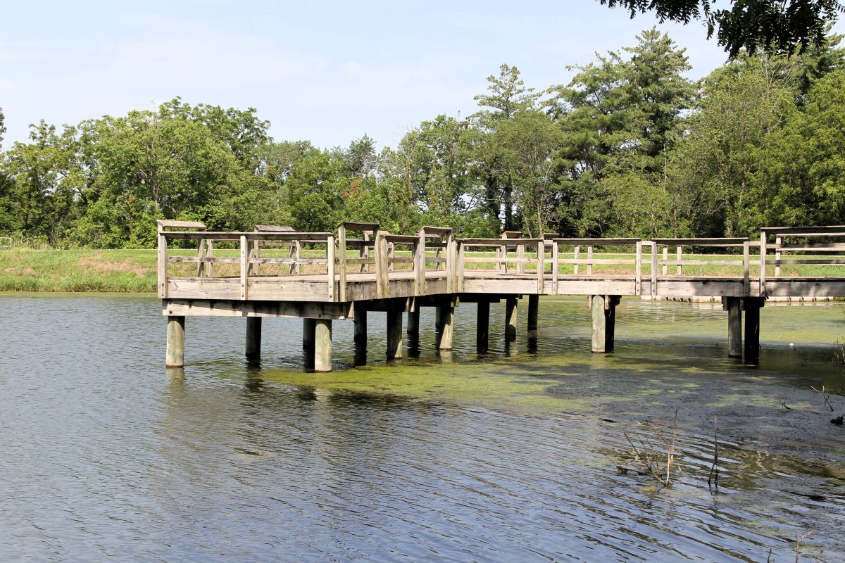 Wooden fishing pier over Marion County Park lake