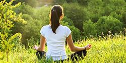 Meditation Around Town