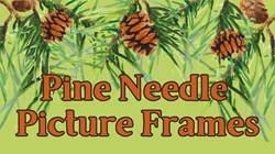 Pine Needle Picture Frames