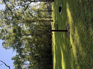 Heery Woods Site T4 - Non-Reservable