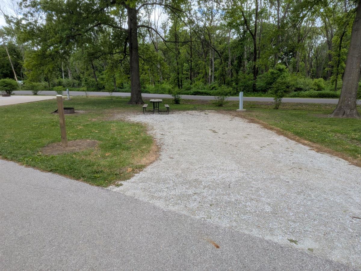 Yellow Banks Site 41