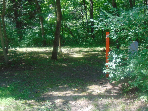 Top-of-Hill Site 303