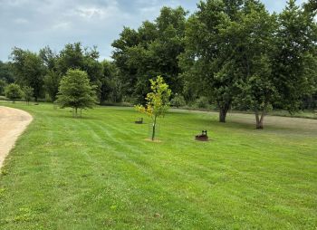 Massillon Primitive sites
