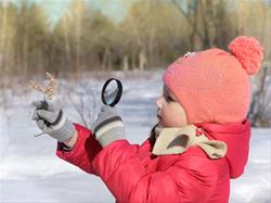 ECO-EXPLORERS: WILD ABOUT WINTER