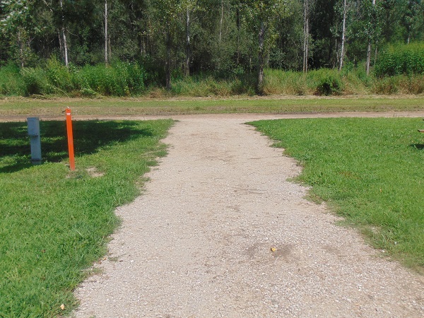 Water Works Site 107