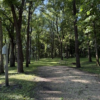 Heery Woods Site 12 - Non-Reservable