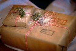 Sustainable Gift Wrapping & Decorating Workshop