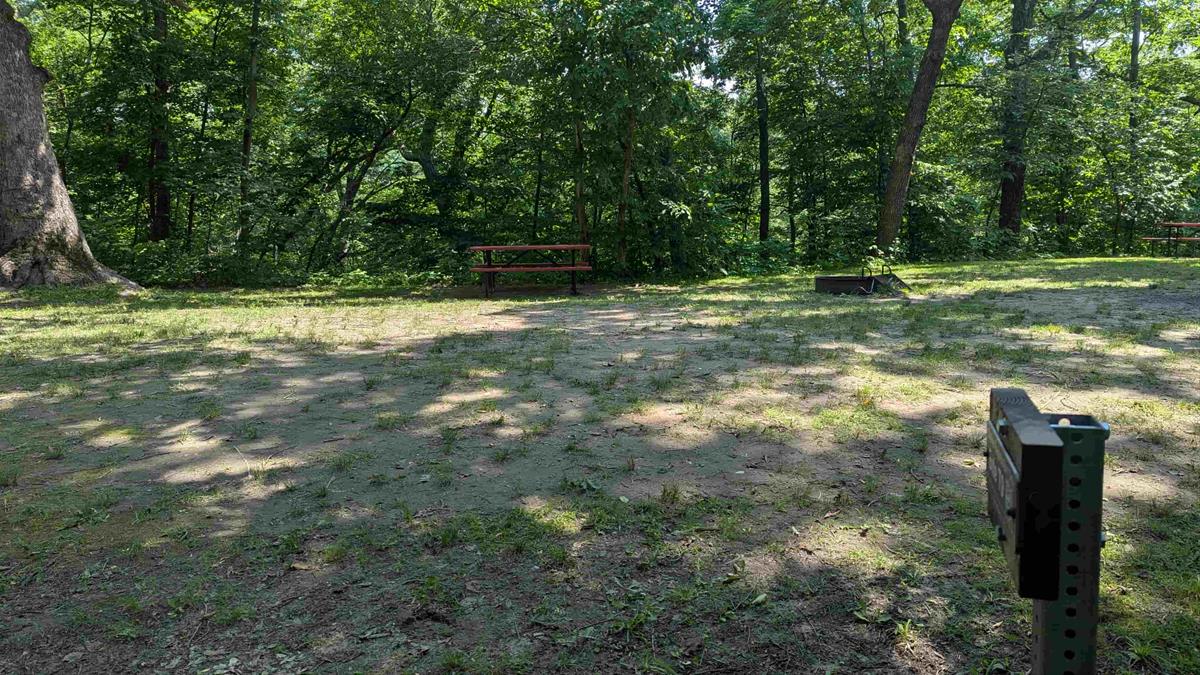 Swede Point Park Tent Site 9