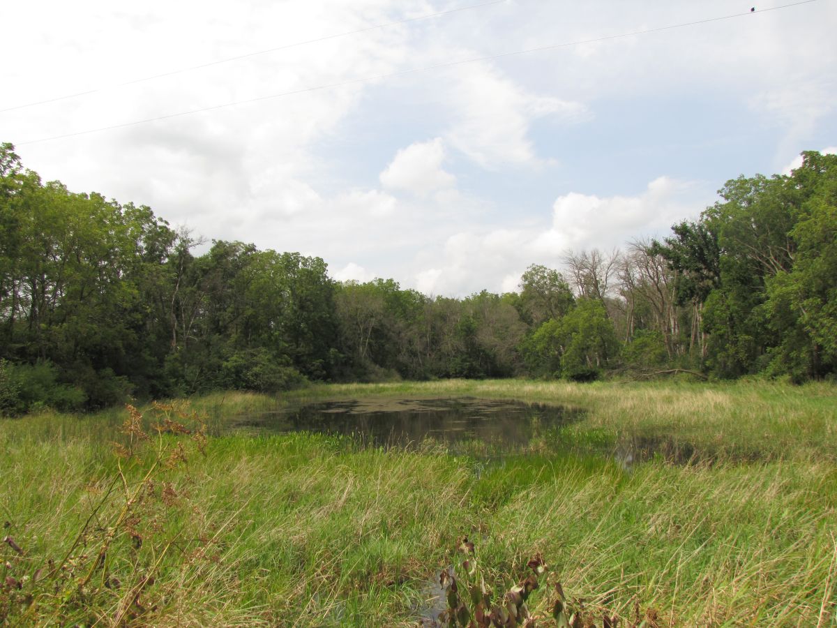 Johnny Walnutseed Pond