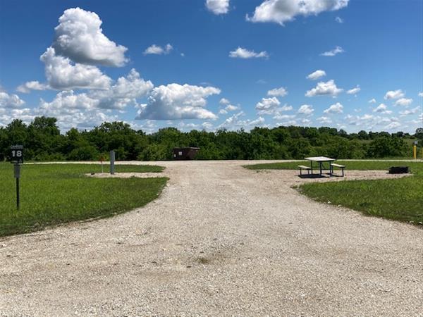 ELP #18 Redtwig Dogwood Campsite