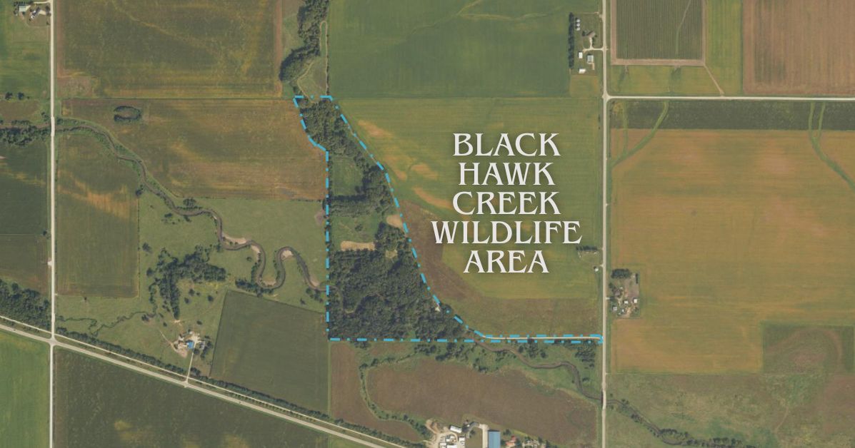 Black Hawk Creek Wildlife Area