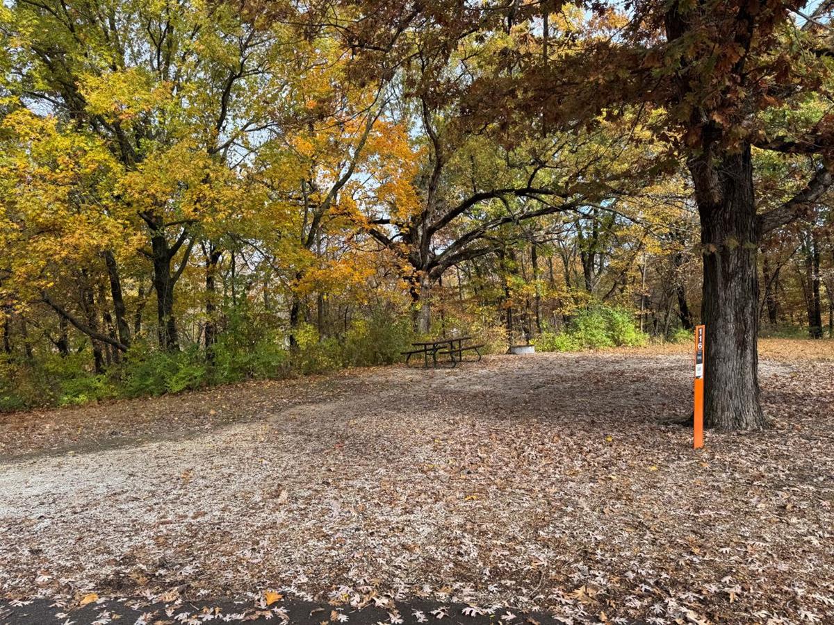 Jester Park Site 116