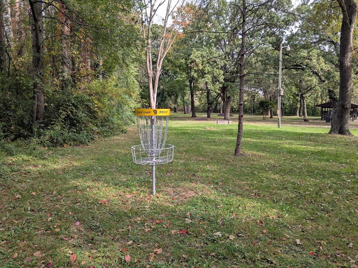 Disc Golf