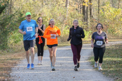 Timber Trot
