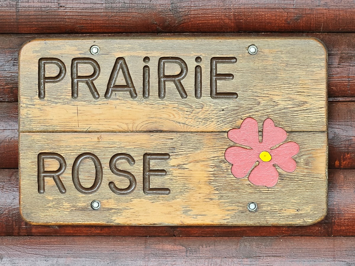 Prairie Rose - Wooden sign with the words "Prairie Rose"