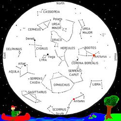 Summers Stars and Constellations