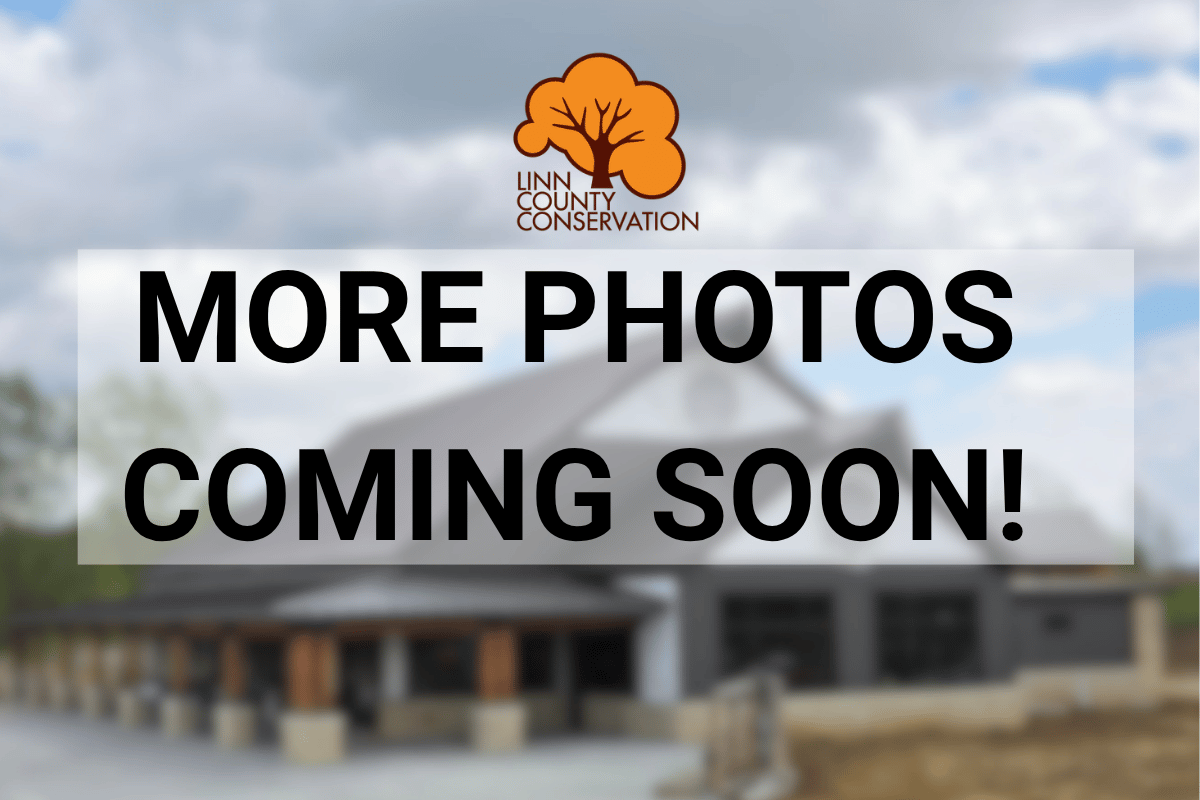 More Photos coming soon